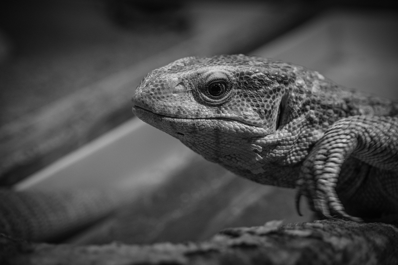 高値売却を実現するための一括査定と土地の売却手順は？