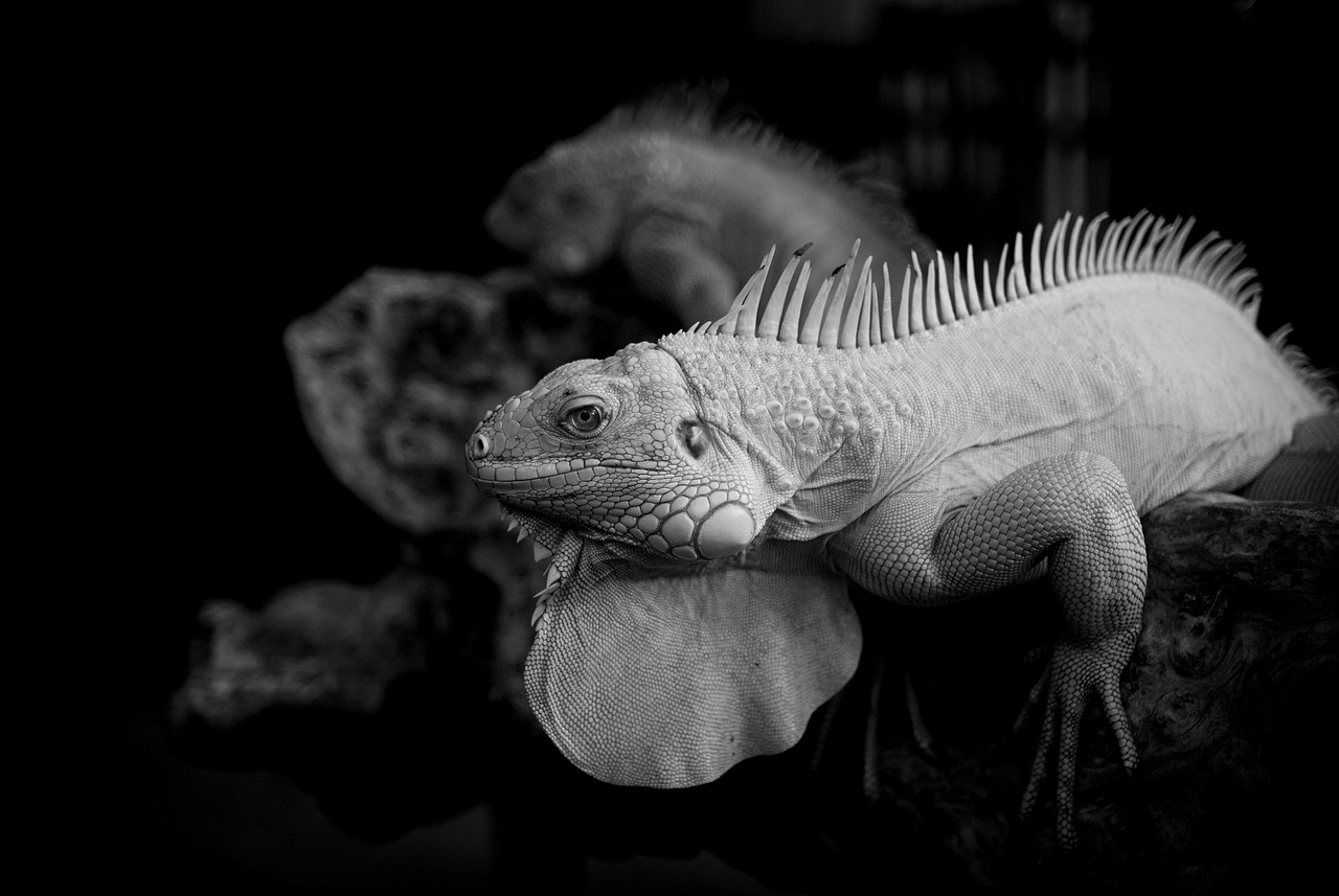 不動産の一括査定と店舗査定との違いは何ですか？