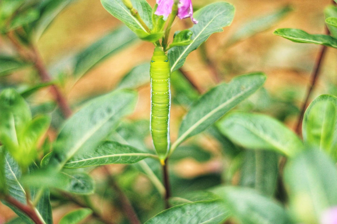 任意売却を考える際、一括査定でまず何をすべきか？