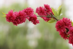 土地の一括査定で境界不明のトラブルを防ぐ方法は？