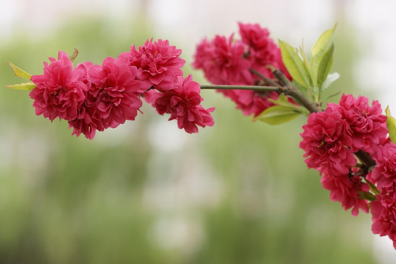 土地の一括査定で境界不明のトラブルを防ぐ方法は？