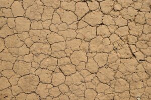 土地の一括査定で旗竿地が売れにくい理由とは？