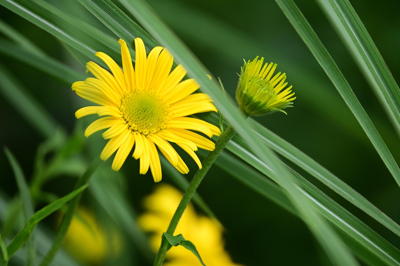 相続空き家を高値売却するための一括査定の方法は？