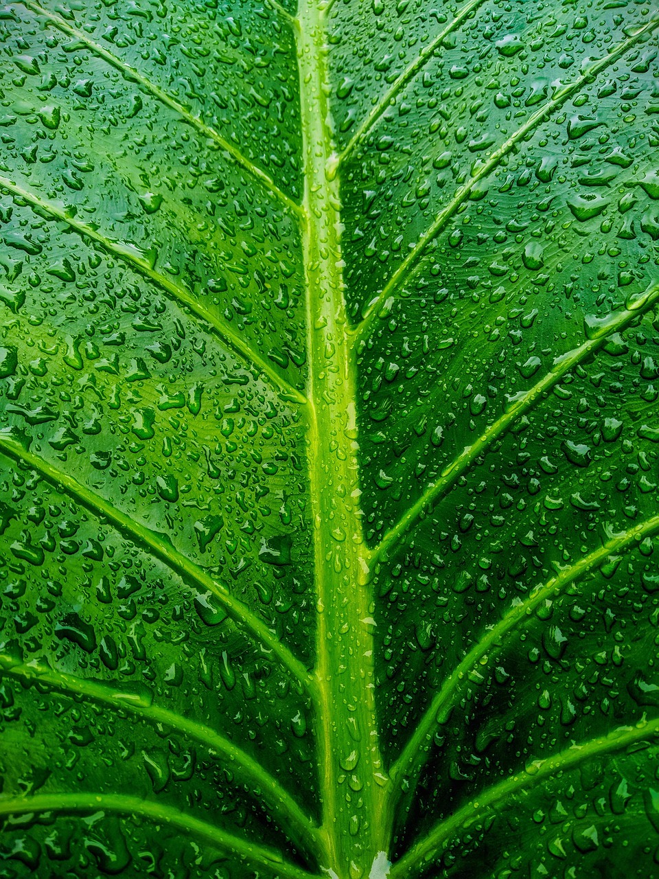 転勤辞令が出た後、一括査定はいつ動き出すべきか？