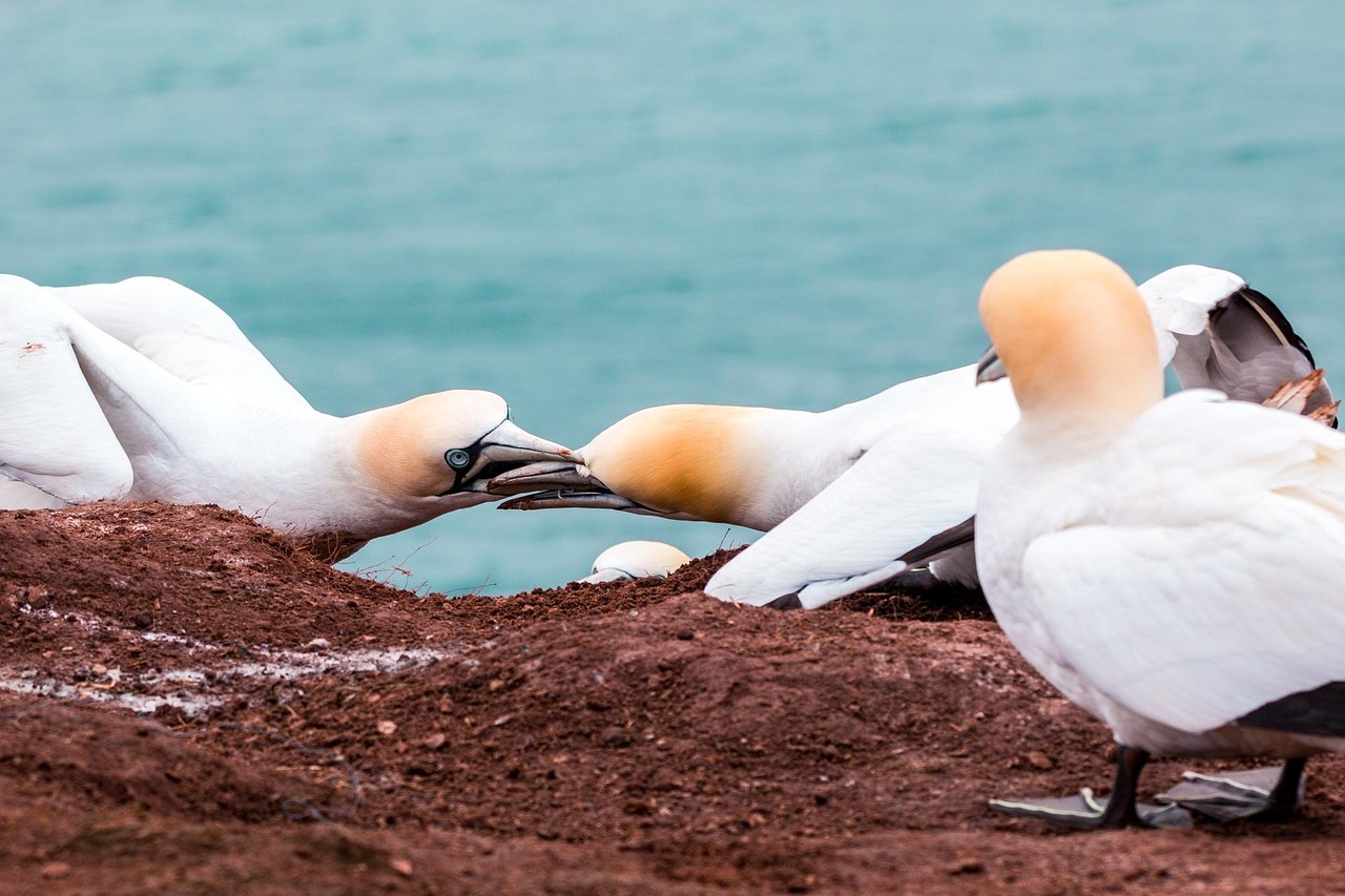 近隣トラブルありの一括査定で伝えるべきポイントは？