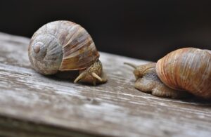 一括査定で他社に乗り換えたい時の適切な言い方は？