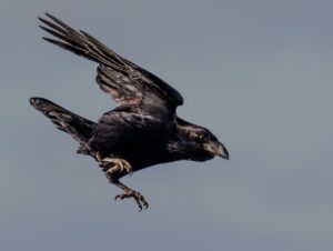 相続空き家を更地にするか悩んでいる方のための一括査定は？