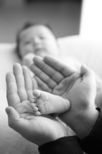 一括査定で任意売却の引越し代を交渉する際の現実ラインは？