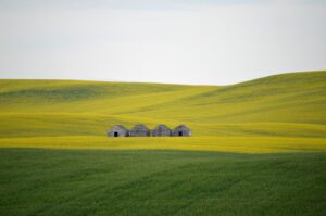一括査定で農地転用する際に必要な土地と売却注意点は？