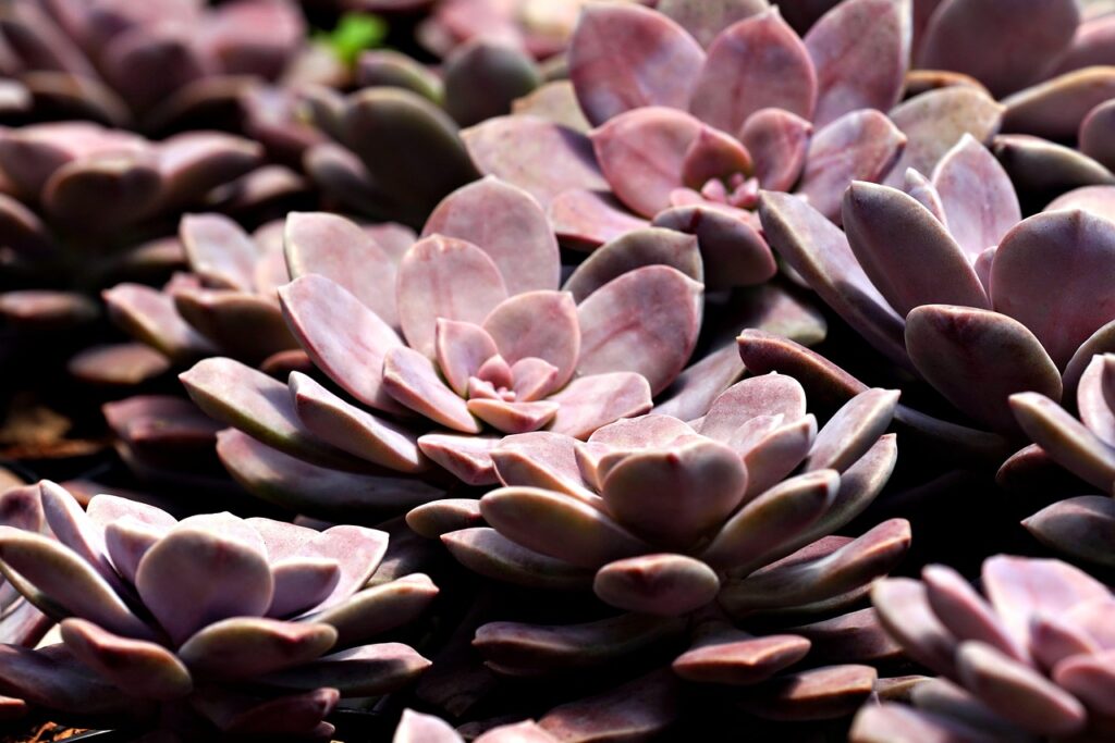 一括査定の提携店の質のばらつきはどう見抜く？